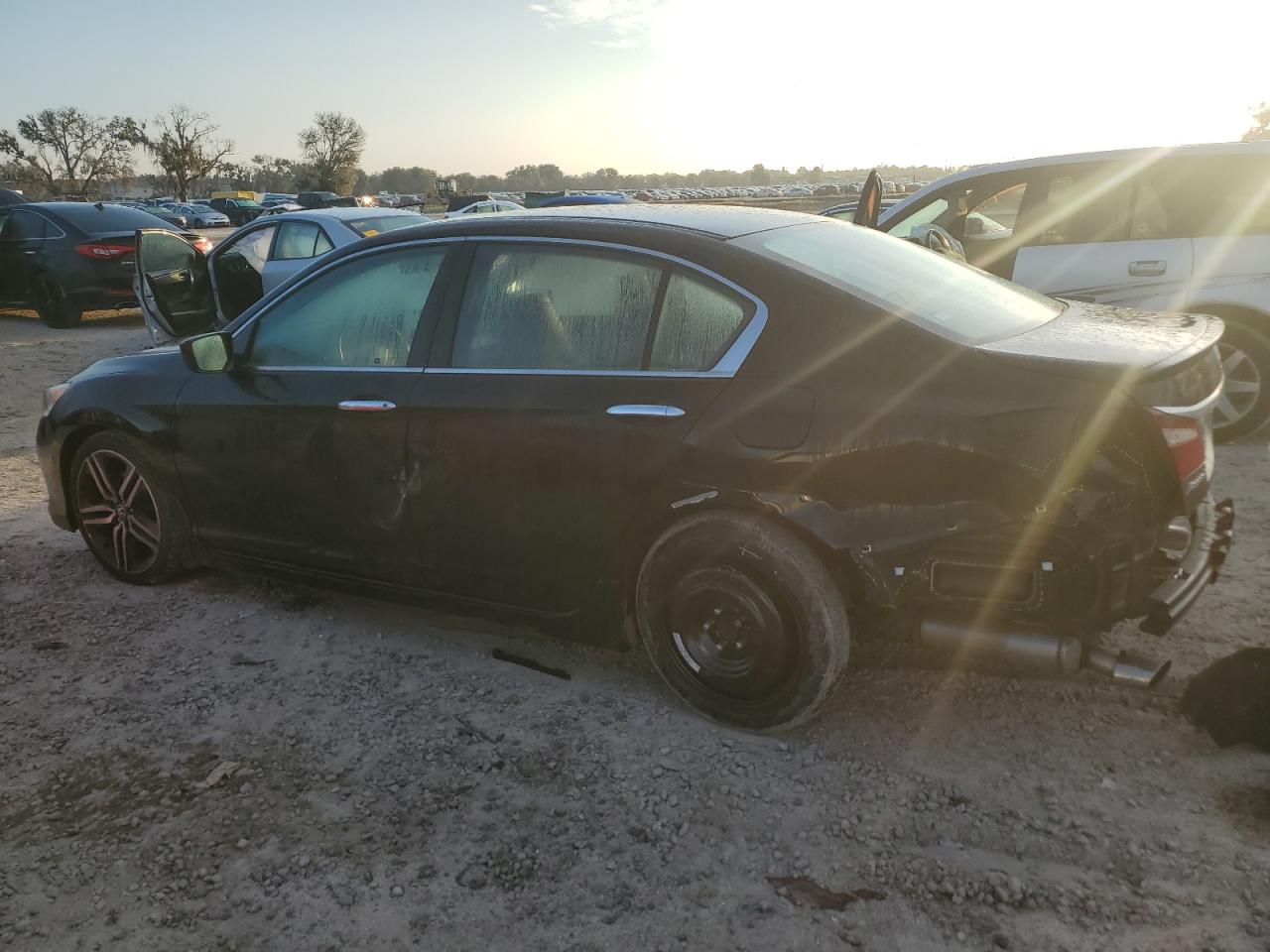 Honda Accord Sport