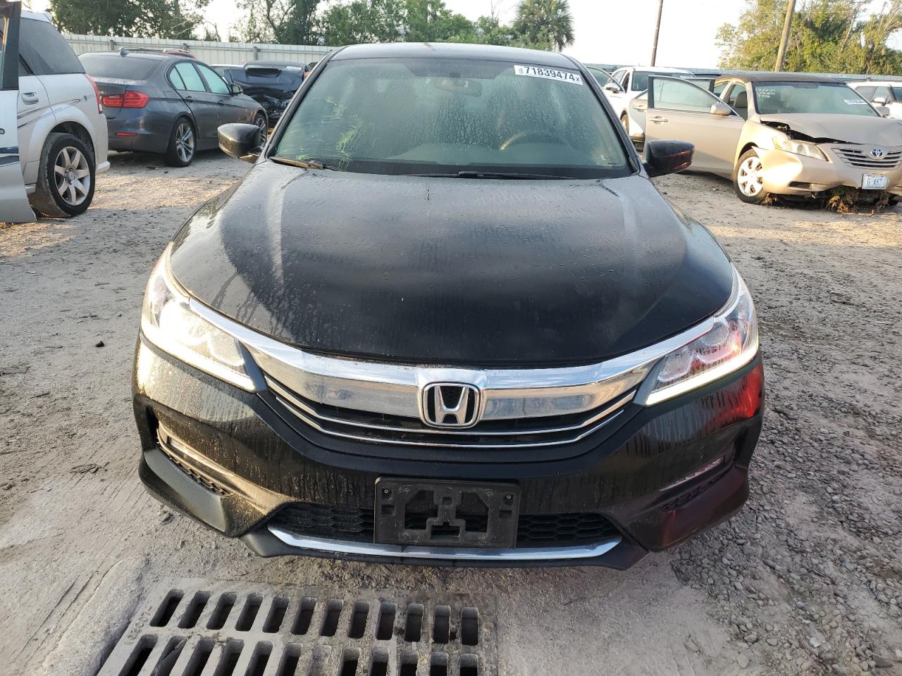 Honda Accord Sport