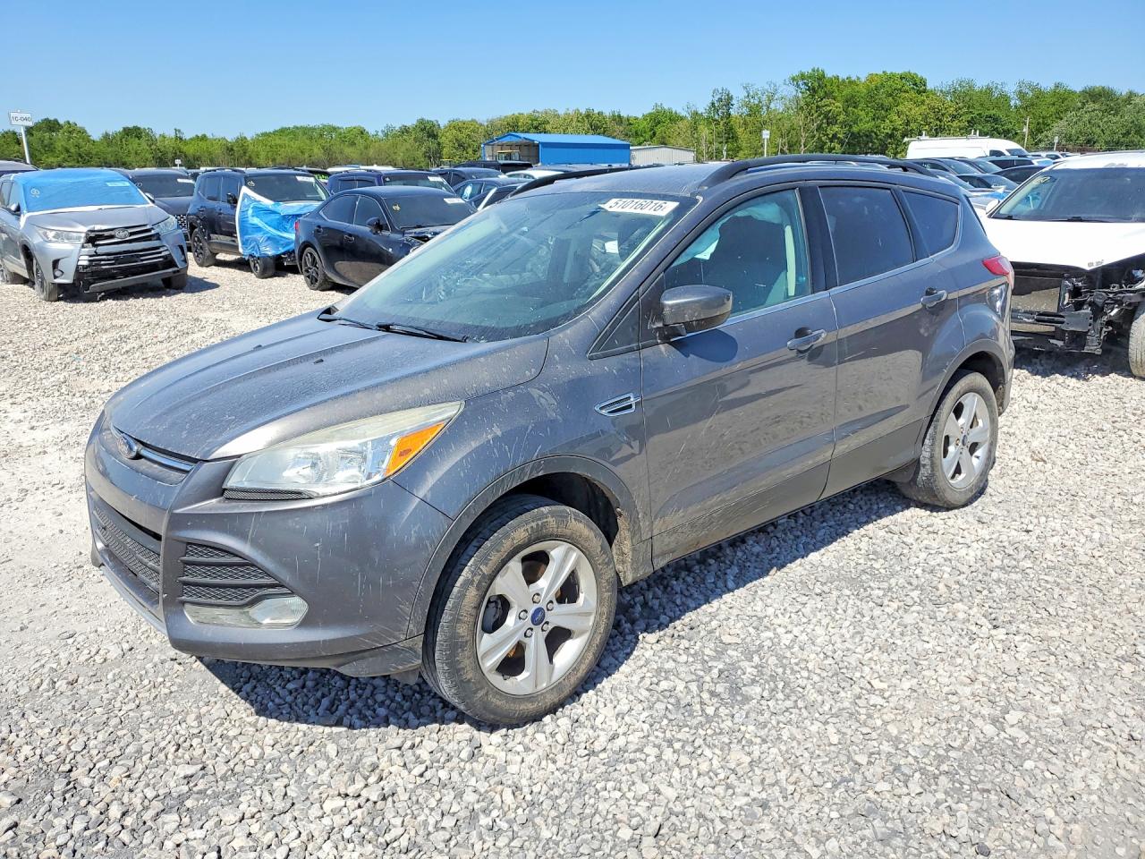 Salvage Ford Escape Image