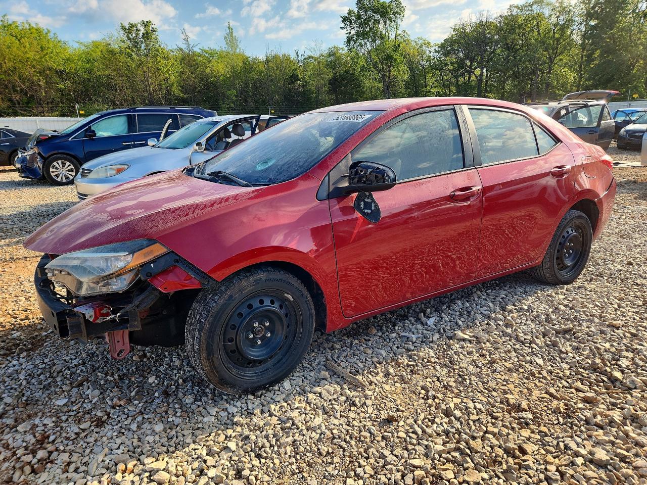 Salvage Toyota Corolla Image