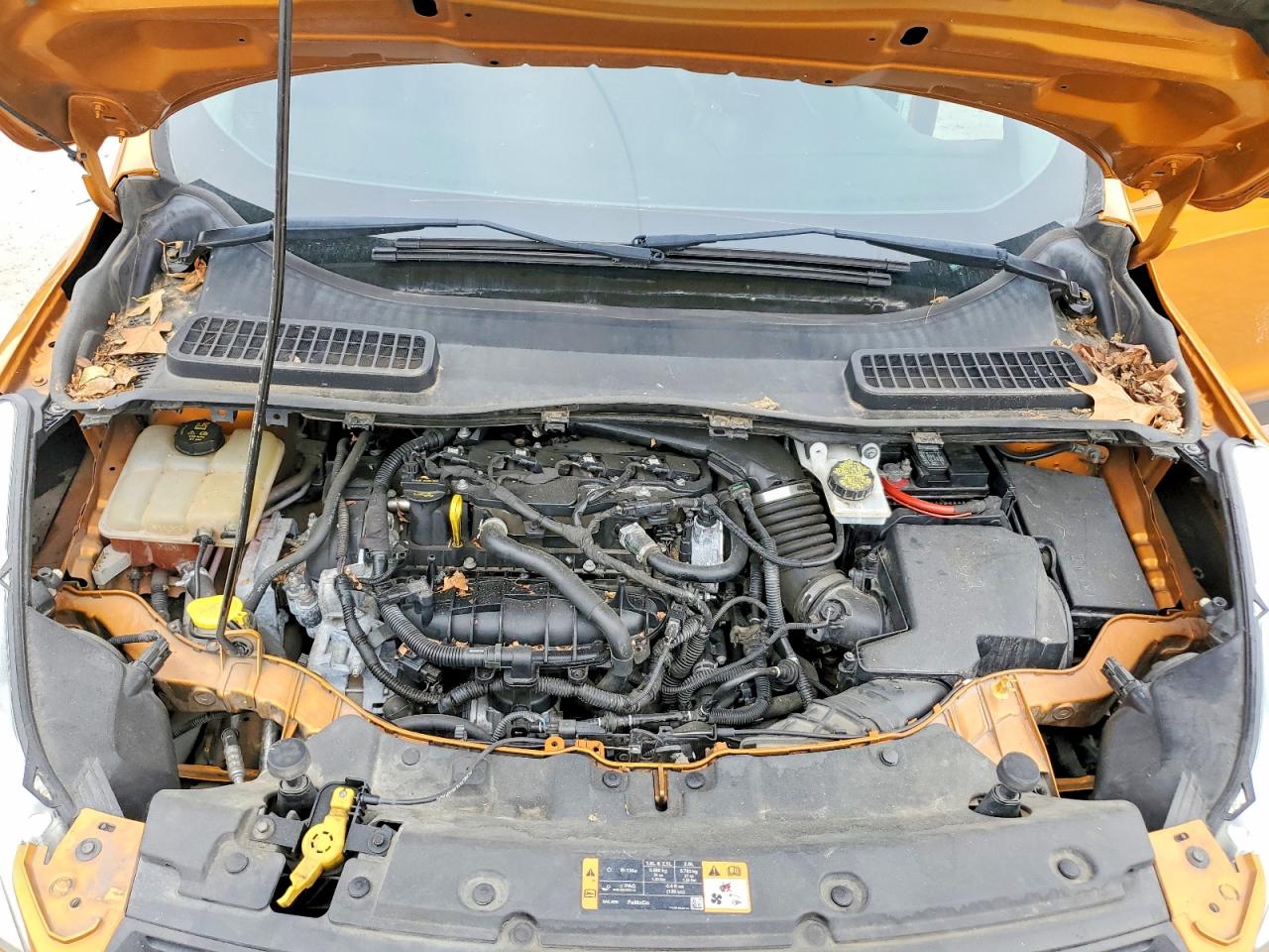 Ford Escape Se