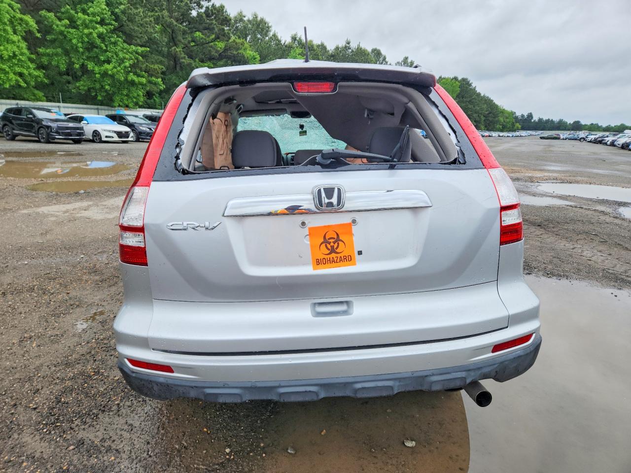 Honda Crv Ex