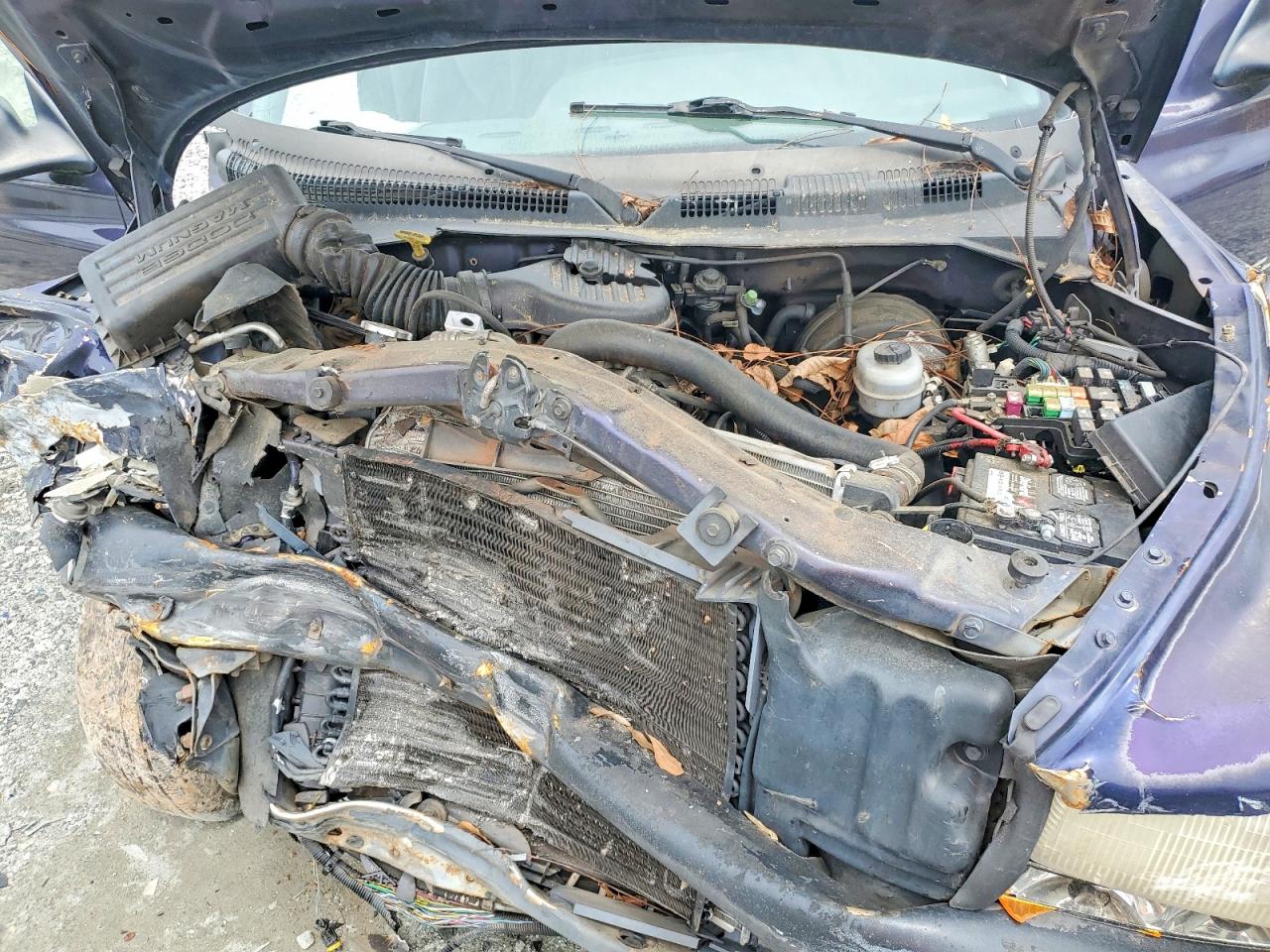 Dodge Dakota