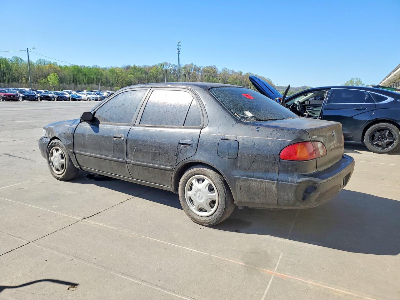 Toyota Corolla Ve