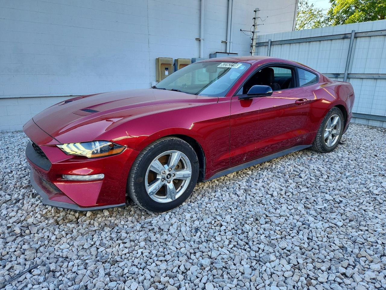 Salvage Ford Mustang Image