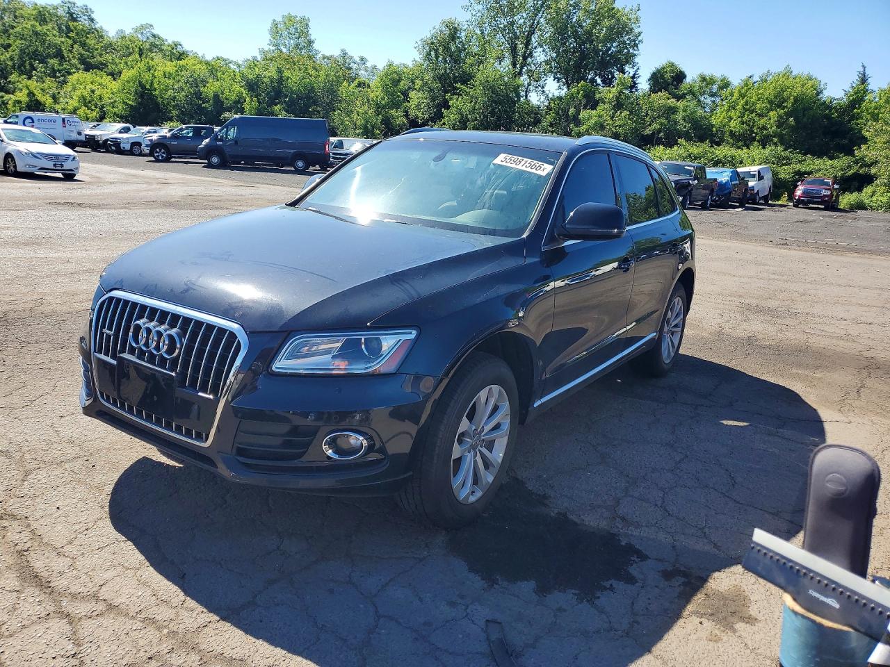 Salvage Audi Q5 Image