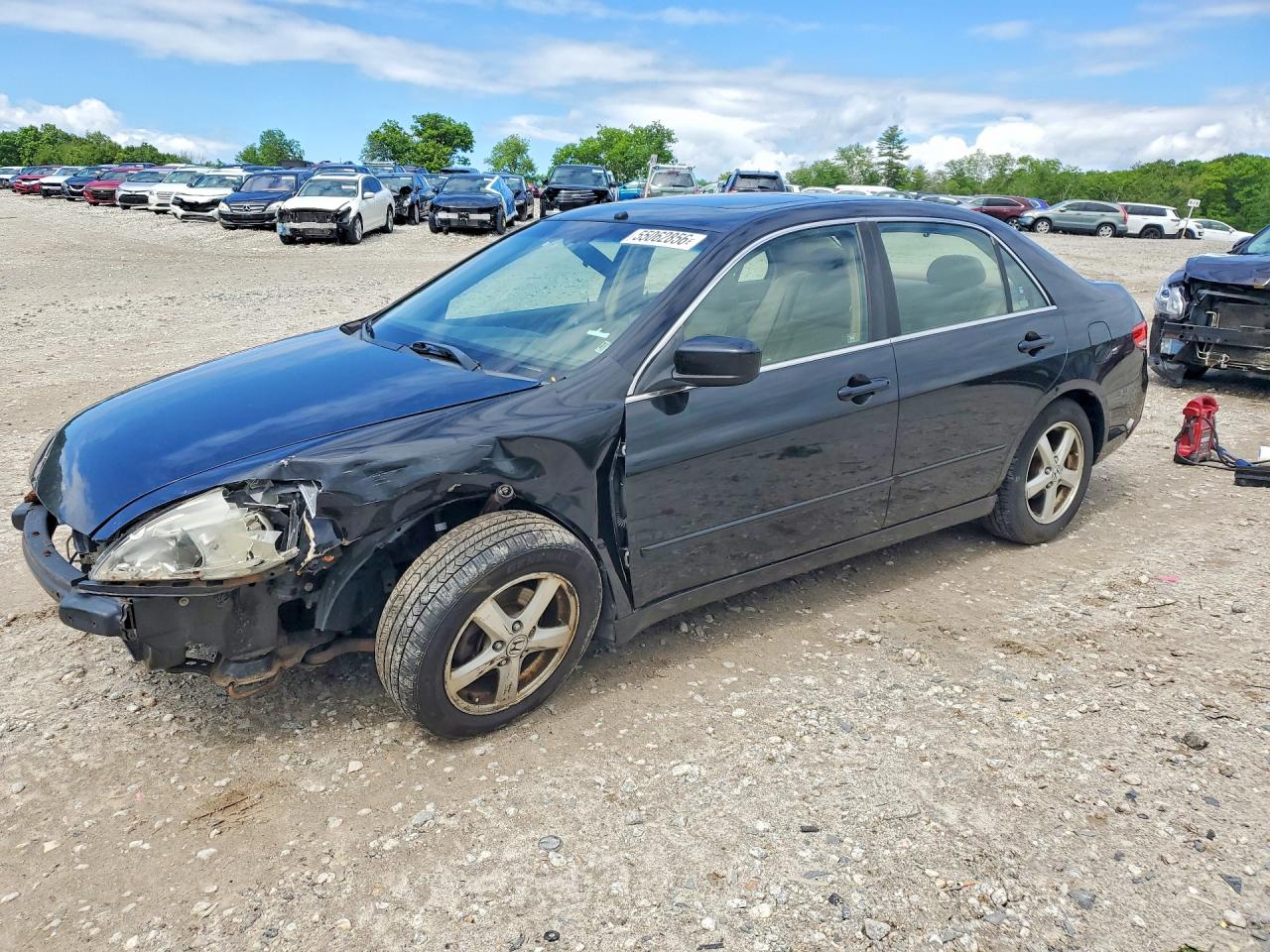 Salvage Honda Accord Image
