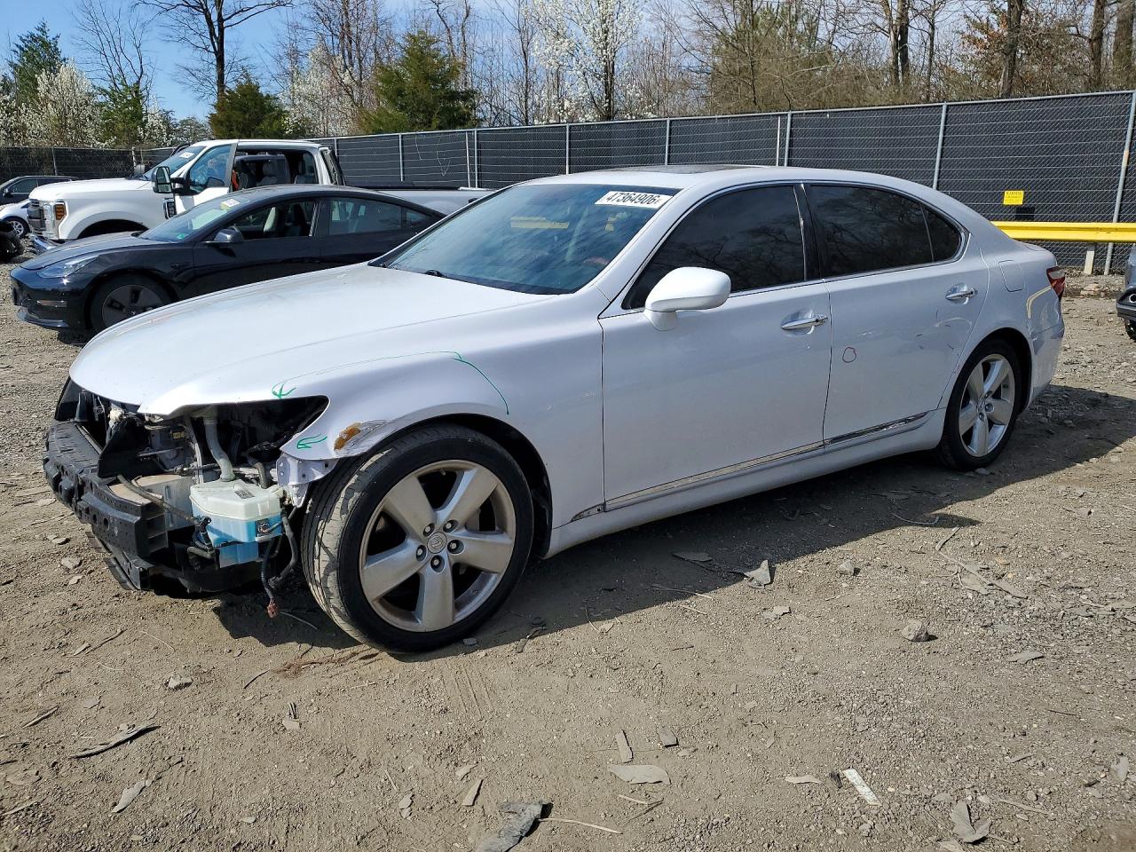 Salvage Lexus LS Image