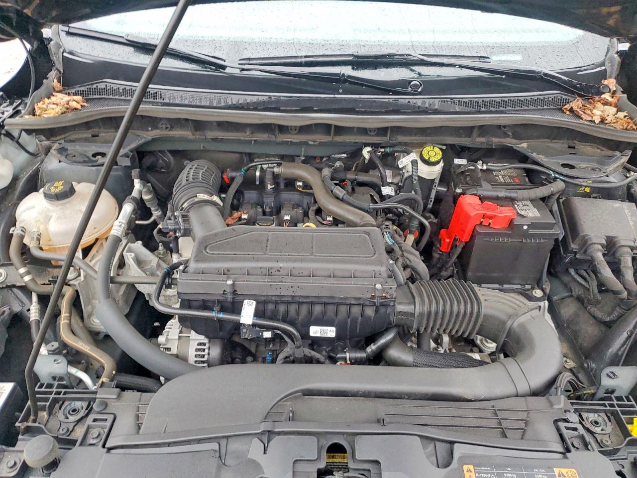 Ford Escape Active
