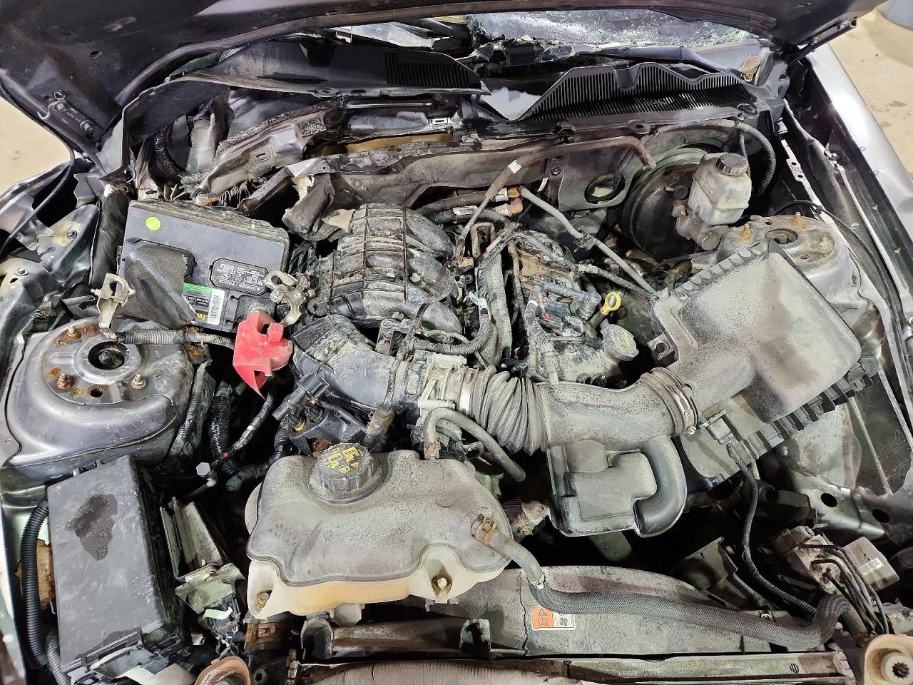 Ford Mustang Base