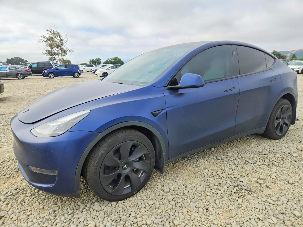 Salvage Tesla Model Y Image