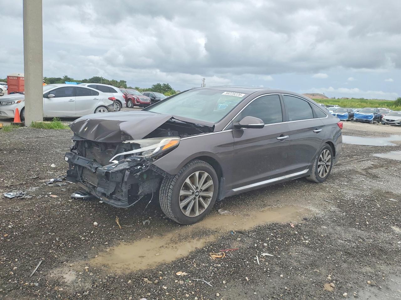 Salvage Hyundai SONATA Image