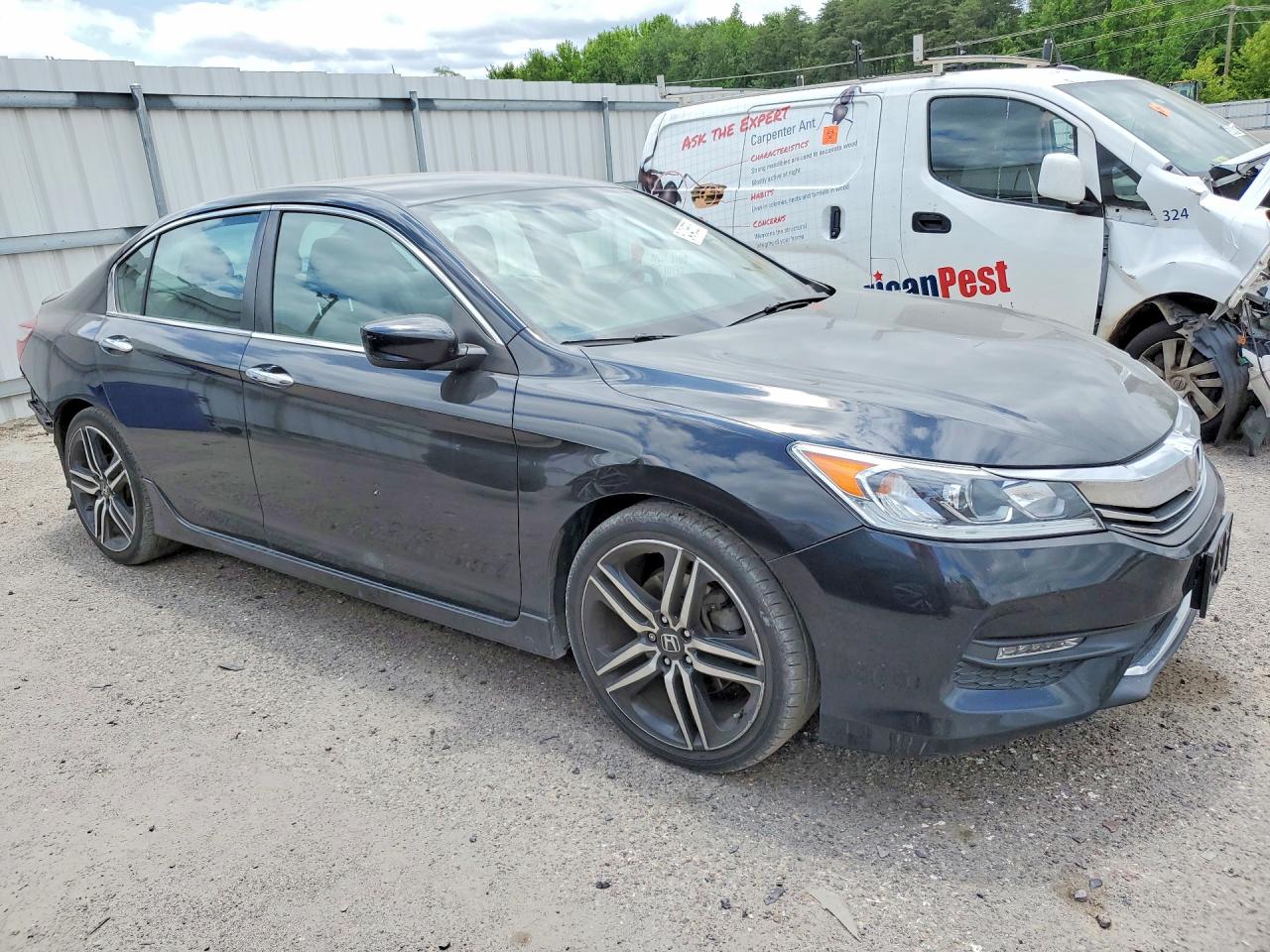 Honda Accord Sport Special Edition