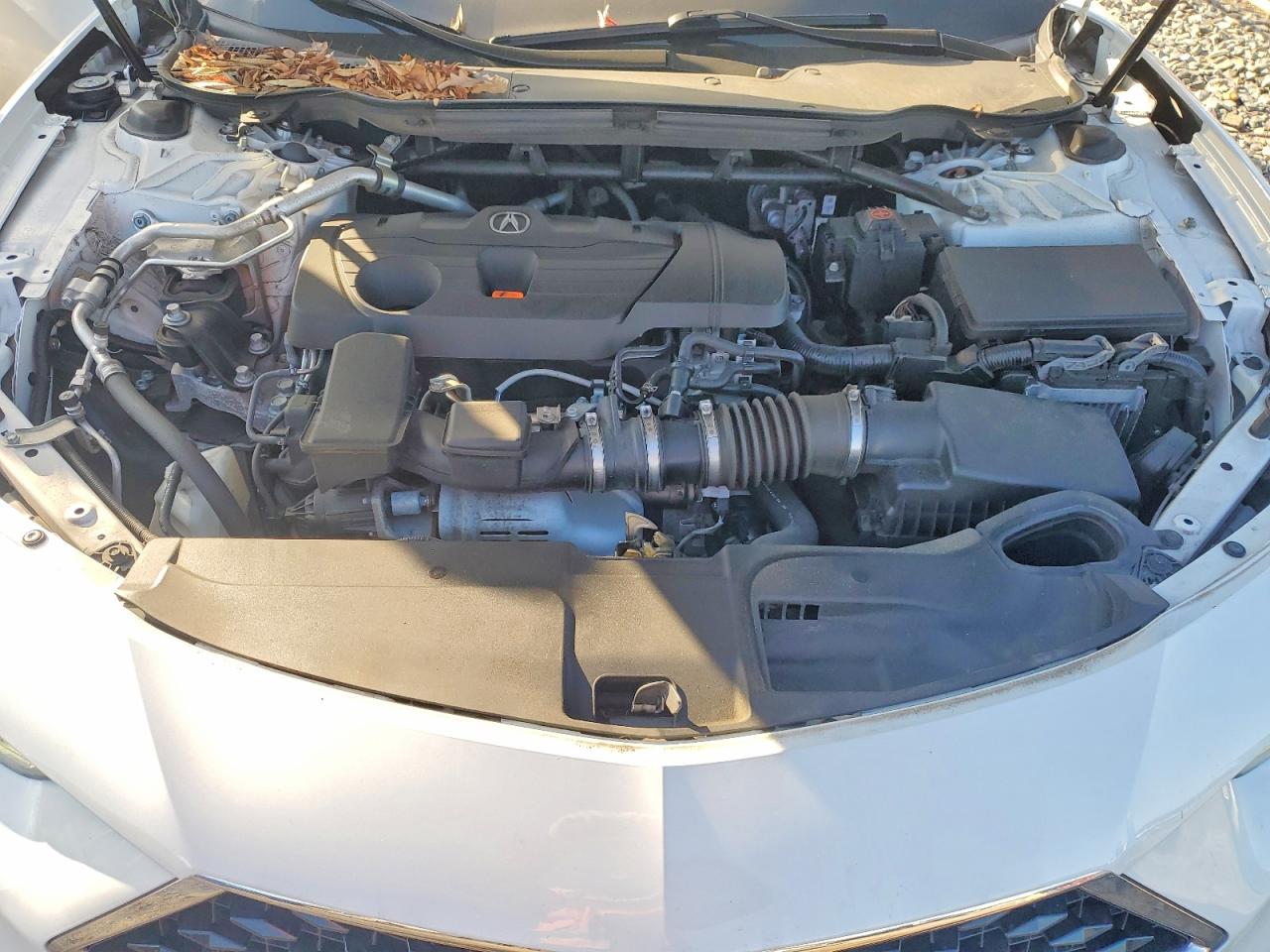 Acura TLX Advance