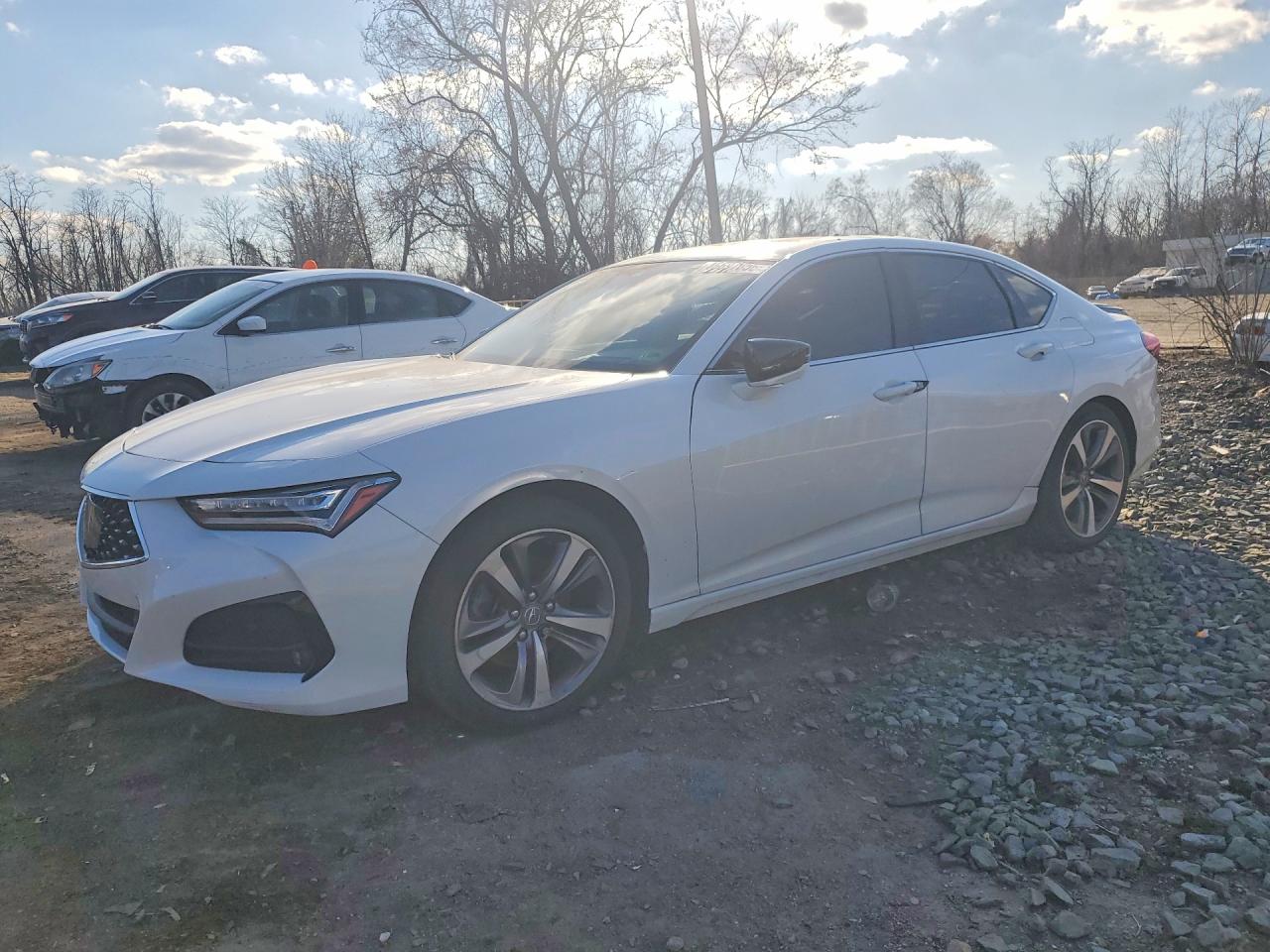 Salvage Acura TLX Image
