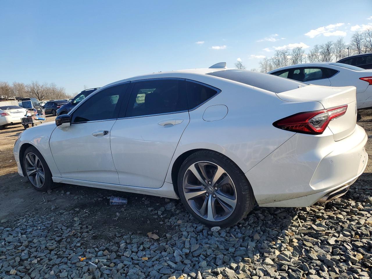 Acura TLX Advance