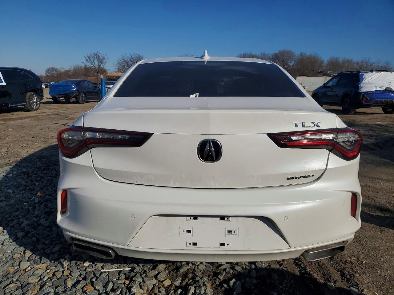 Acura TLX Advance