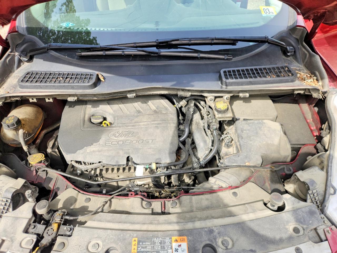 Ford Escape Se
