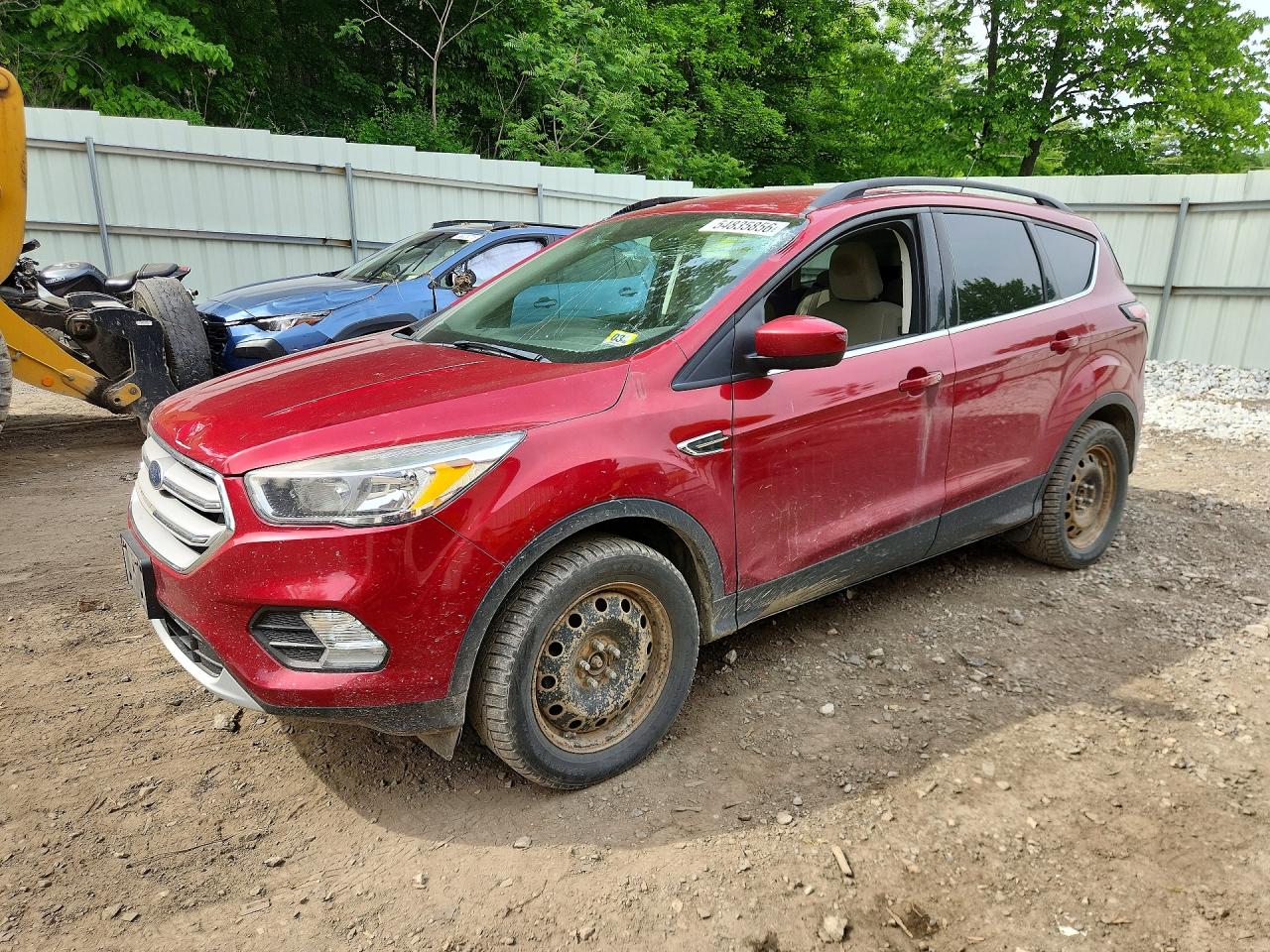 Salvage Ford Escape Image