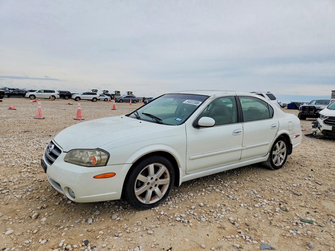 Salvage Nissan Maxima Image