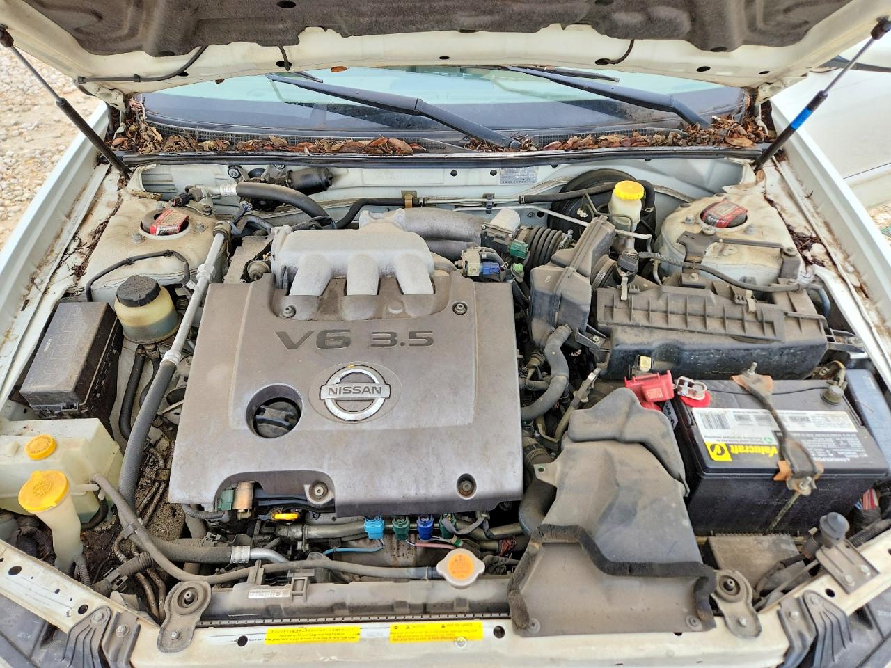 Nissan Maxima Gxe