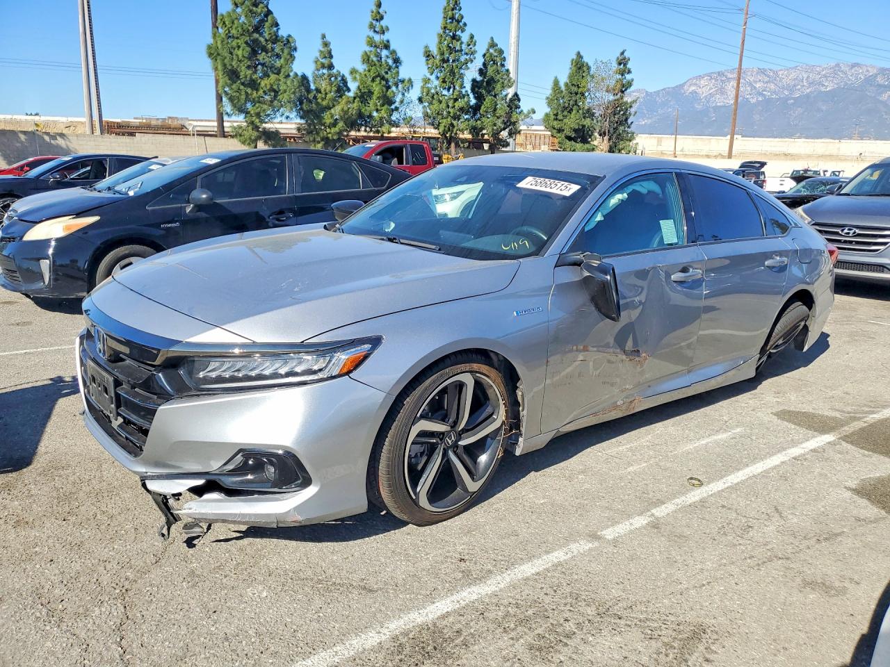Salvage Honda Accord Image