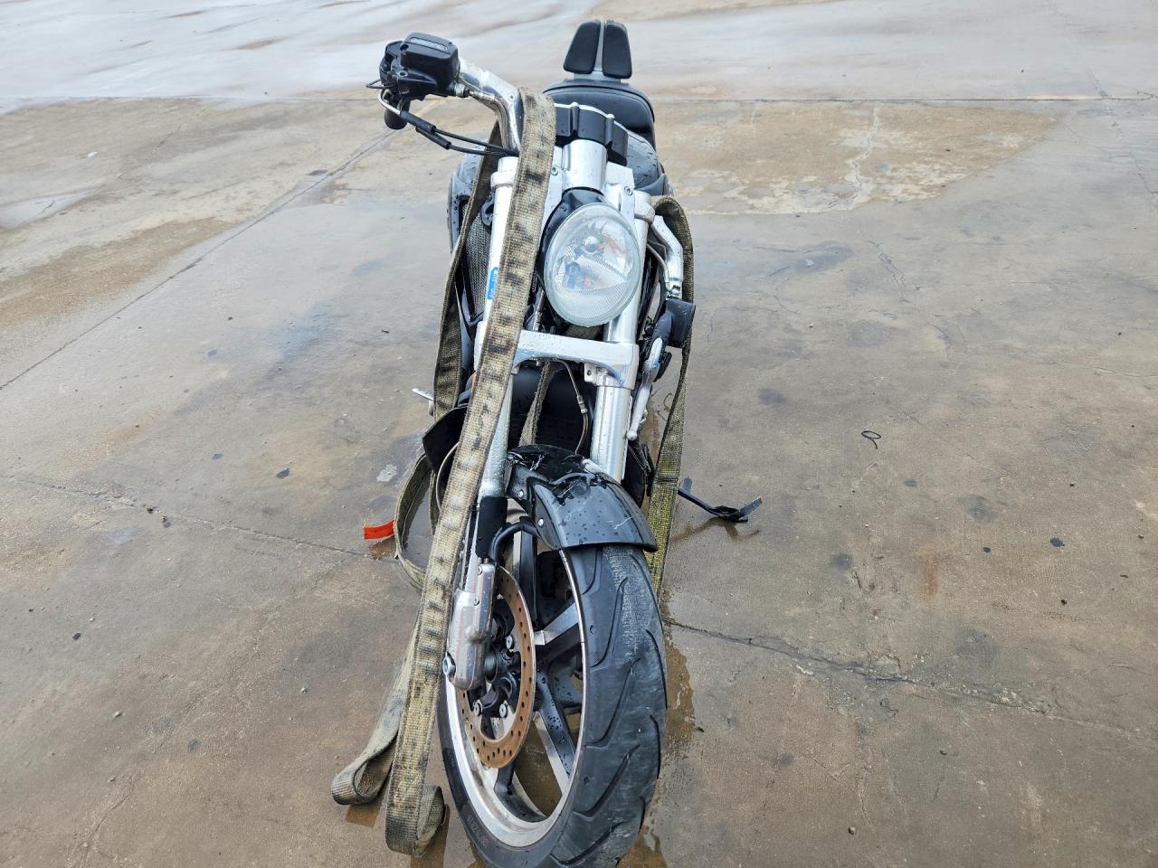 Harley-Davidson Vrs Vrod Muscle