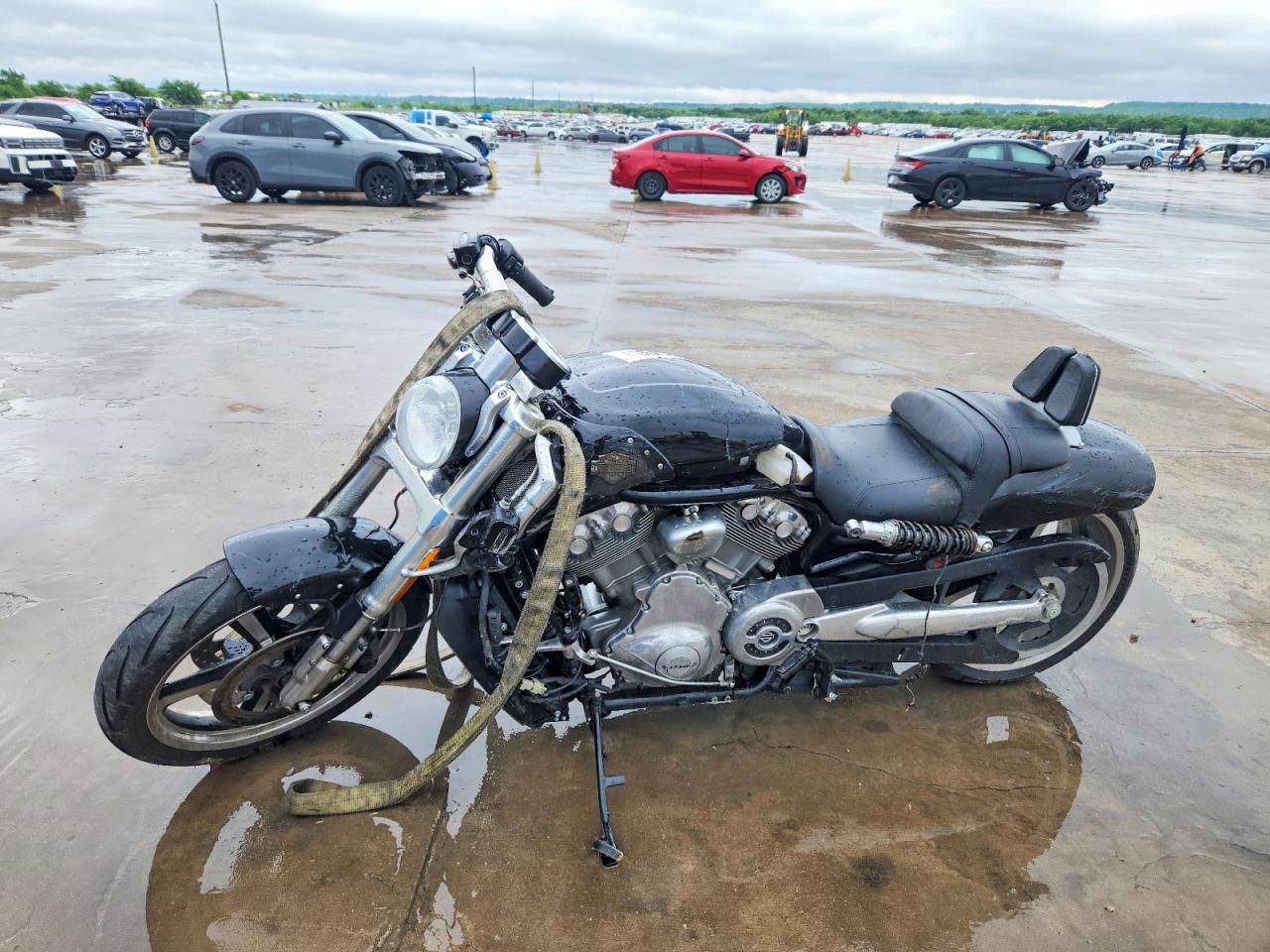 Harley-Davidson Vrs Vrod Muscle