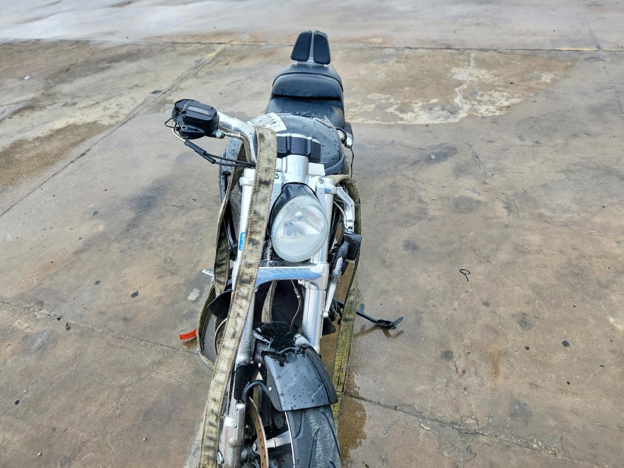 Harley-Davidson Vrs Vrod Muscle