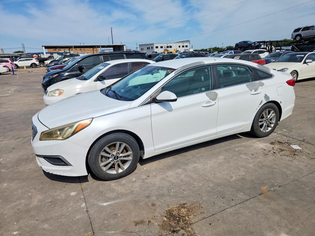 Salvage Hyundai SONATA Image