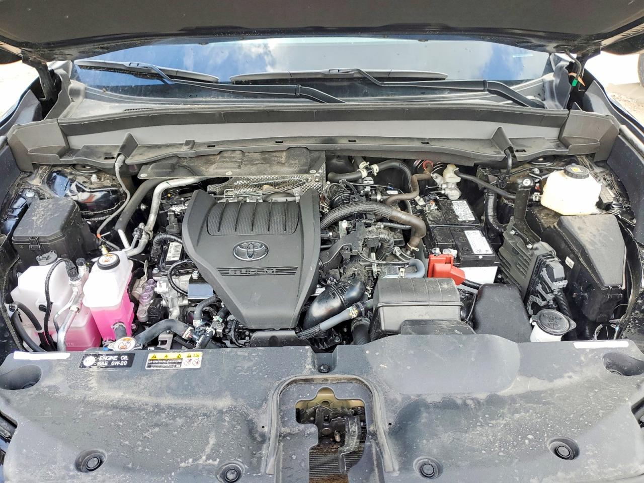 Toyota Other Le