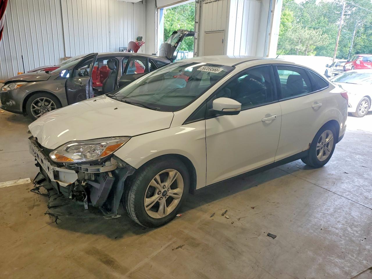 Salvage Ford Focus Image