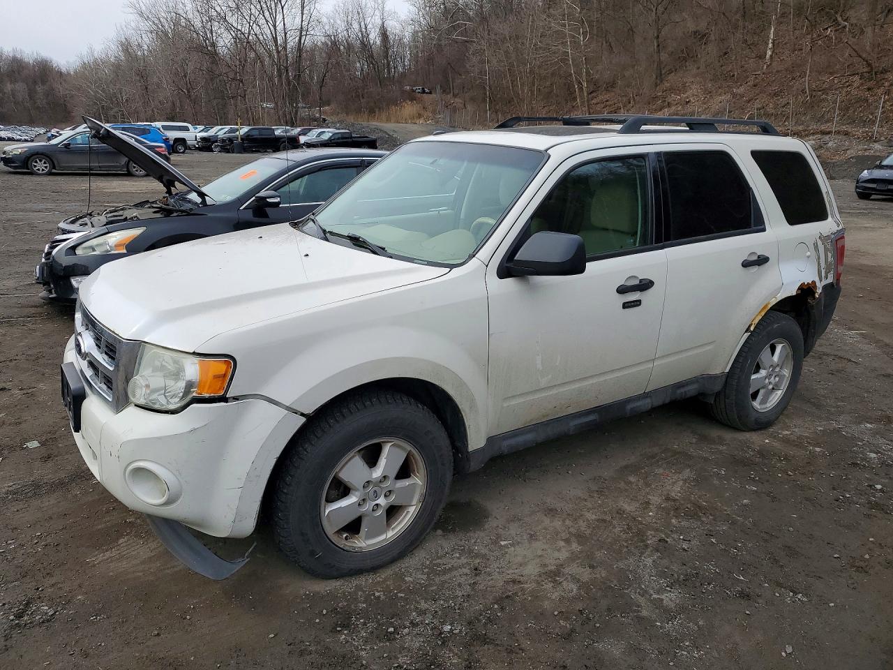 Salvage Ford Escape Image