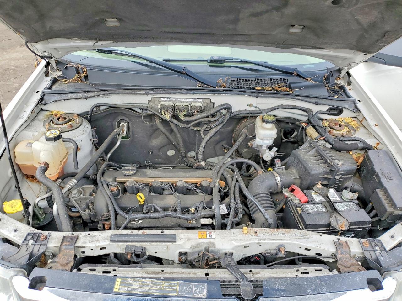 Ford Escape Xlt