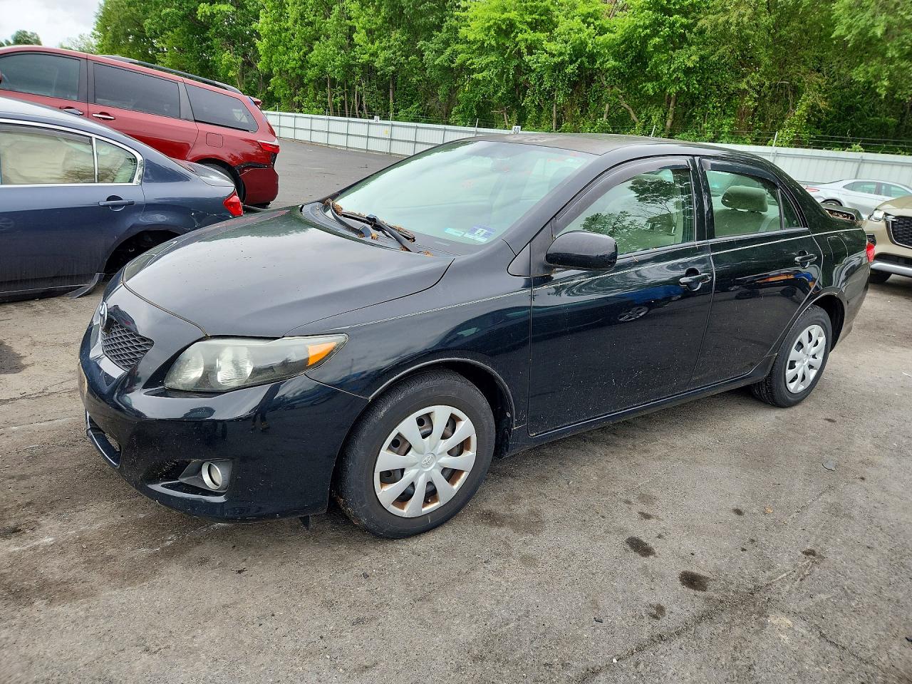 Salvage Toyota Corolla Image