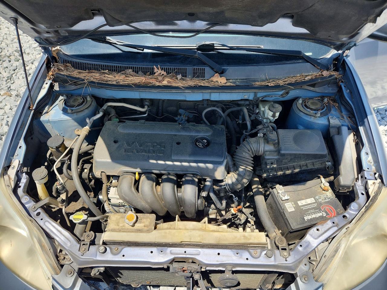 Toyota Corolla Xr