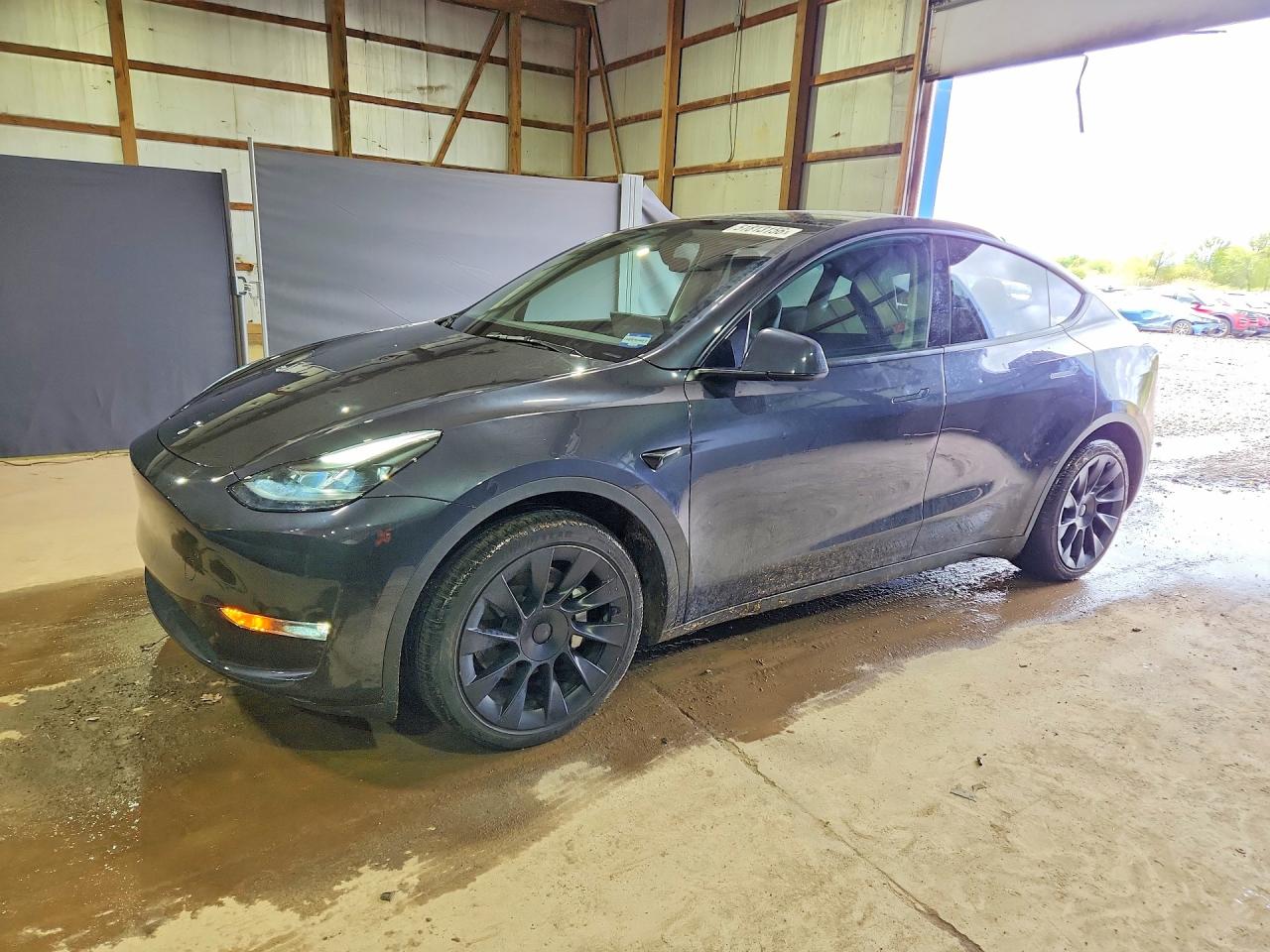 Salvage Tesla Model Y Image
