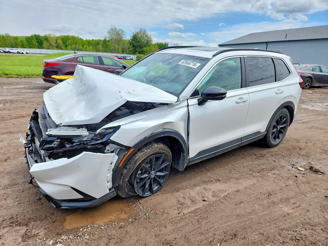 Salvage Honda Crv Image