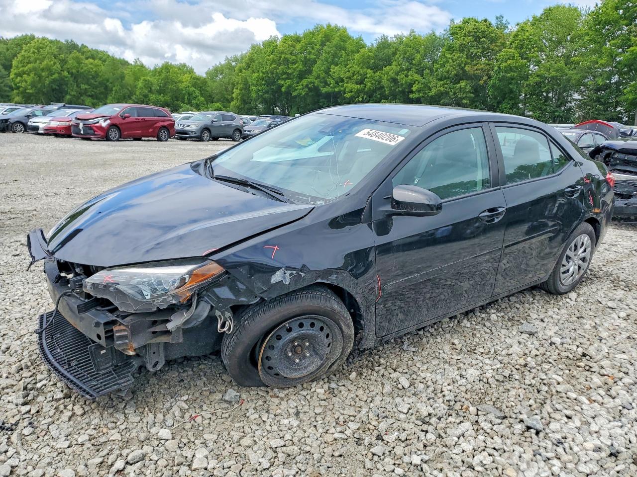 Salvage Toyota Corolla Image