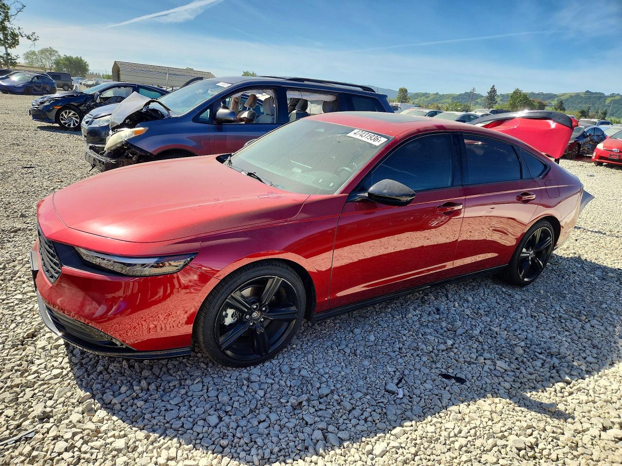 Salvage Honda Accord Image
