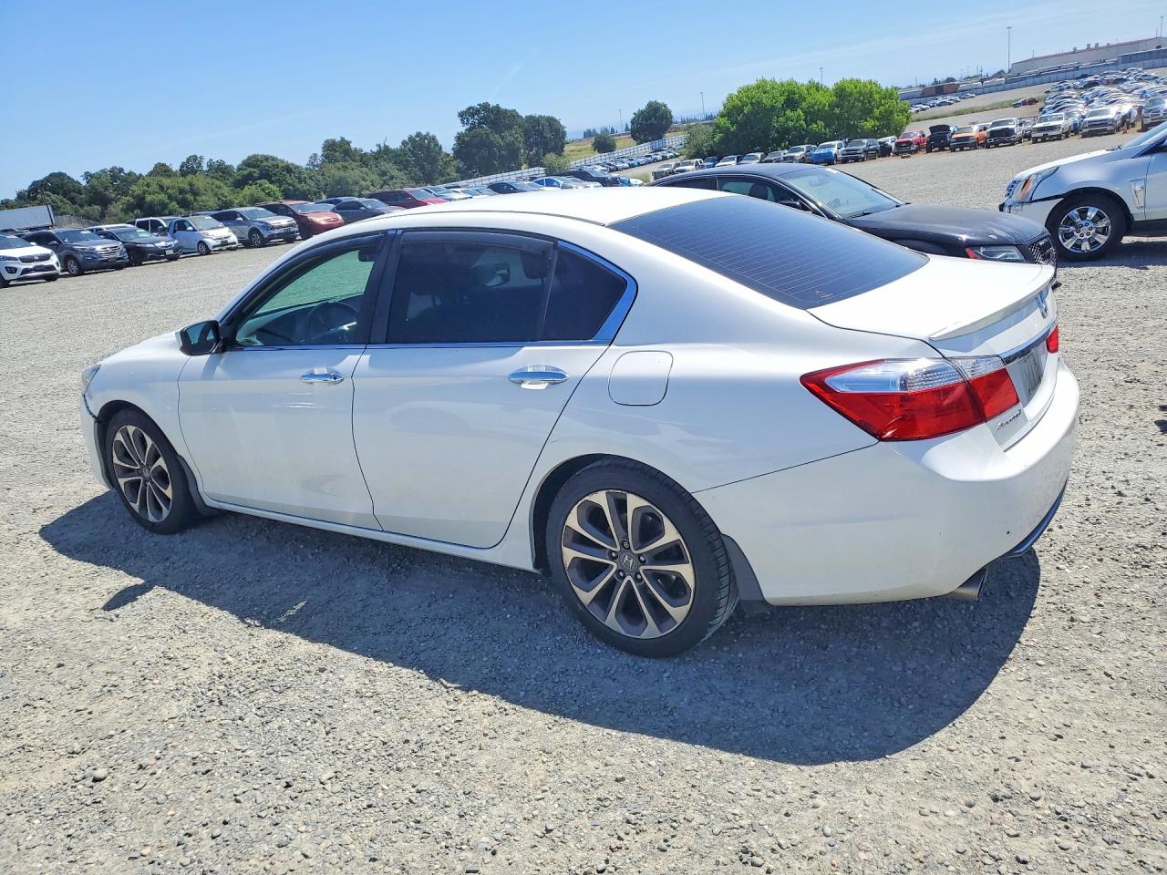 Honda Accord Sport