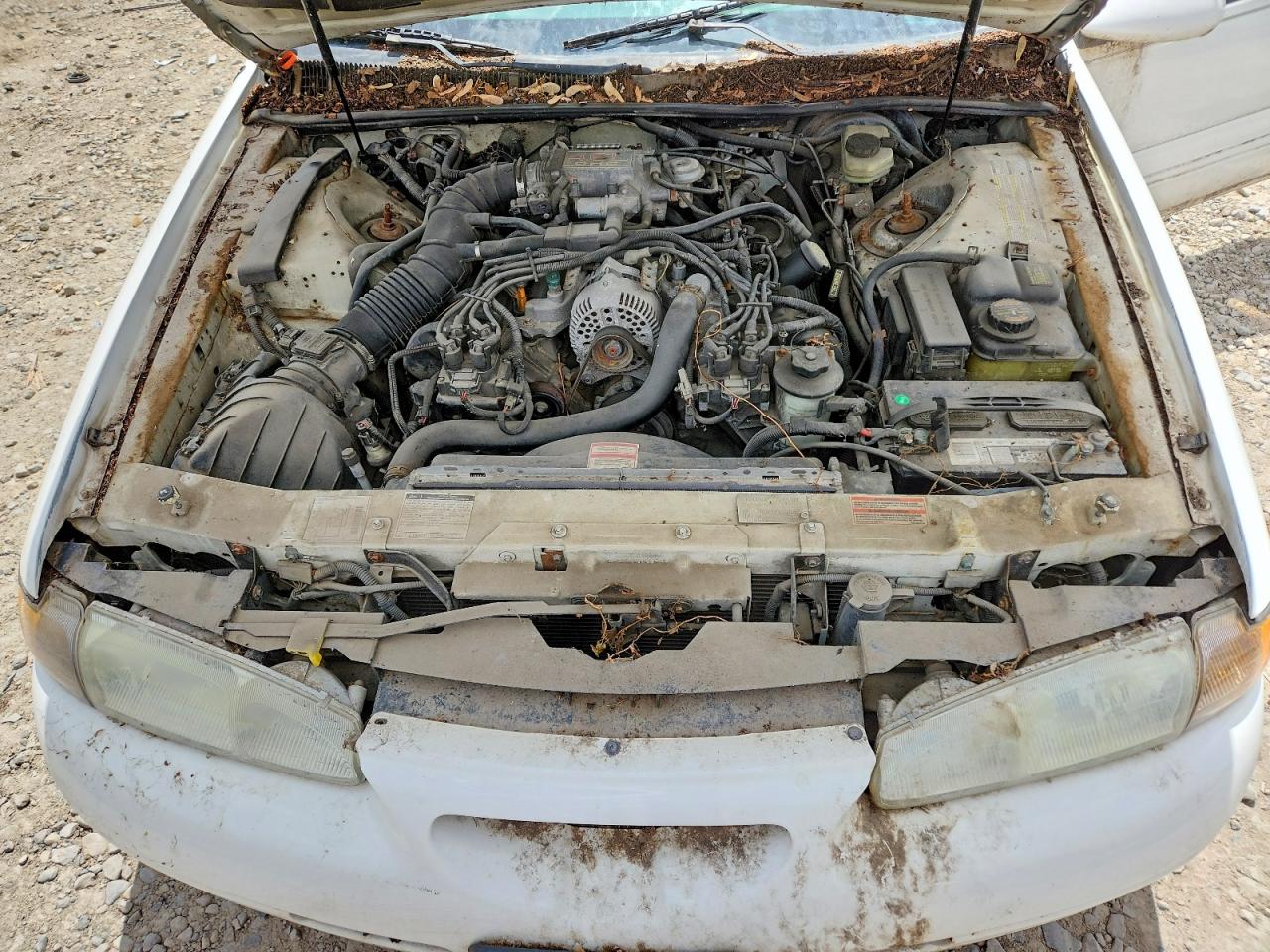 Ford Thunderbird Lx