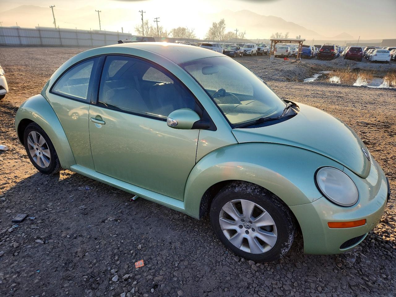 Volkswagen Beetle S