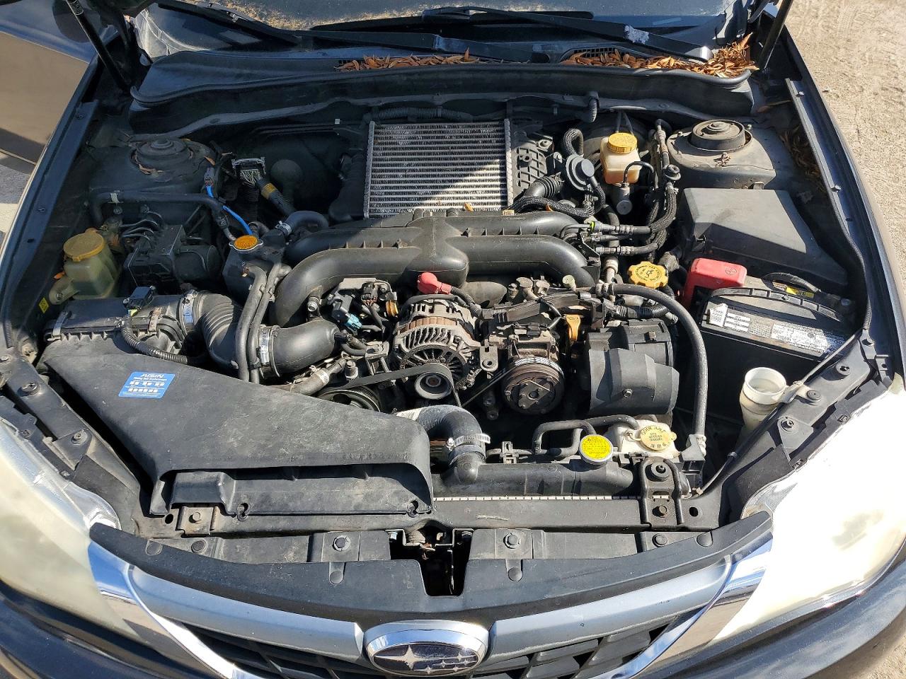 Subaru WRX Wrx
