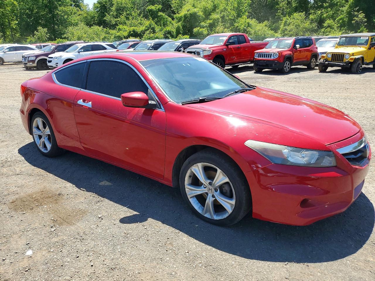 Honda Accord Exl