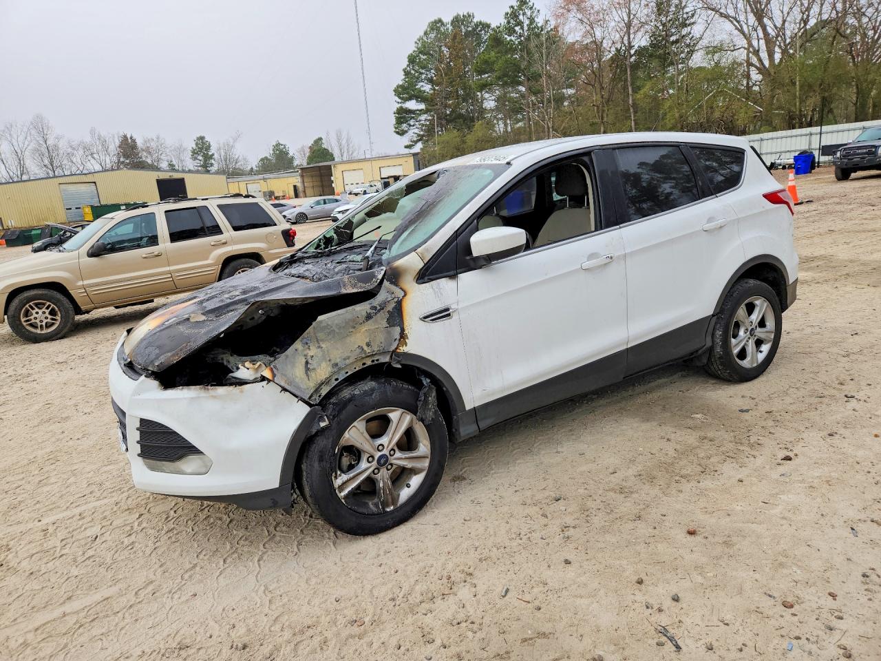 Salvage Ford Escape Image