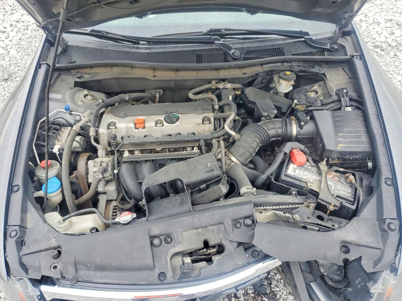 Honda Accord Lxp