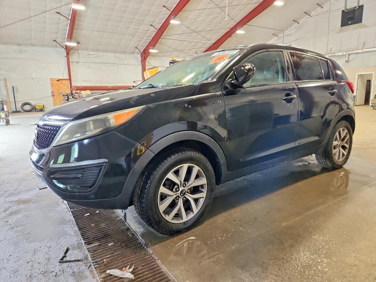 Salvage Kia Sportage Image