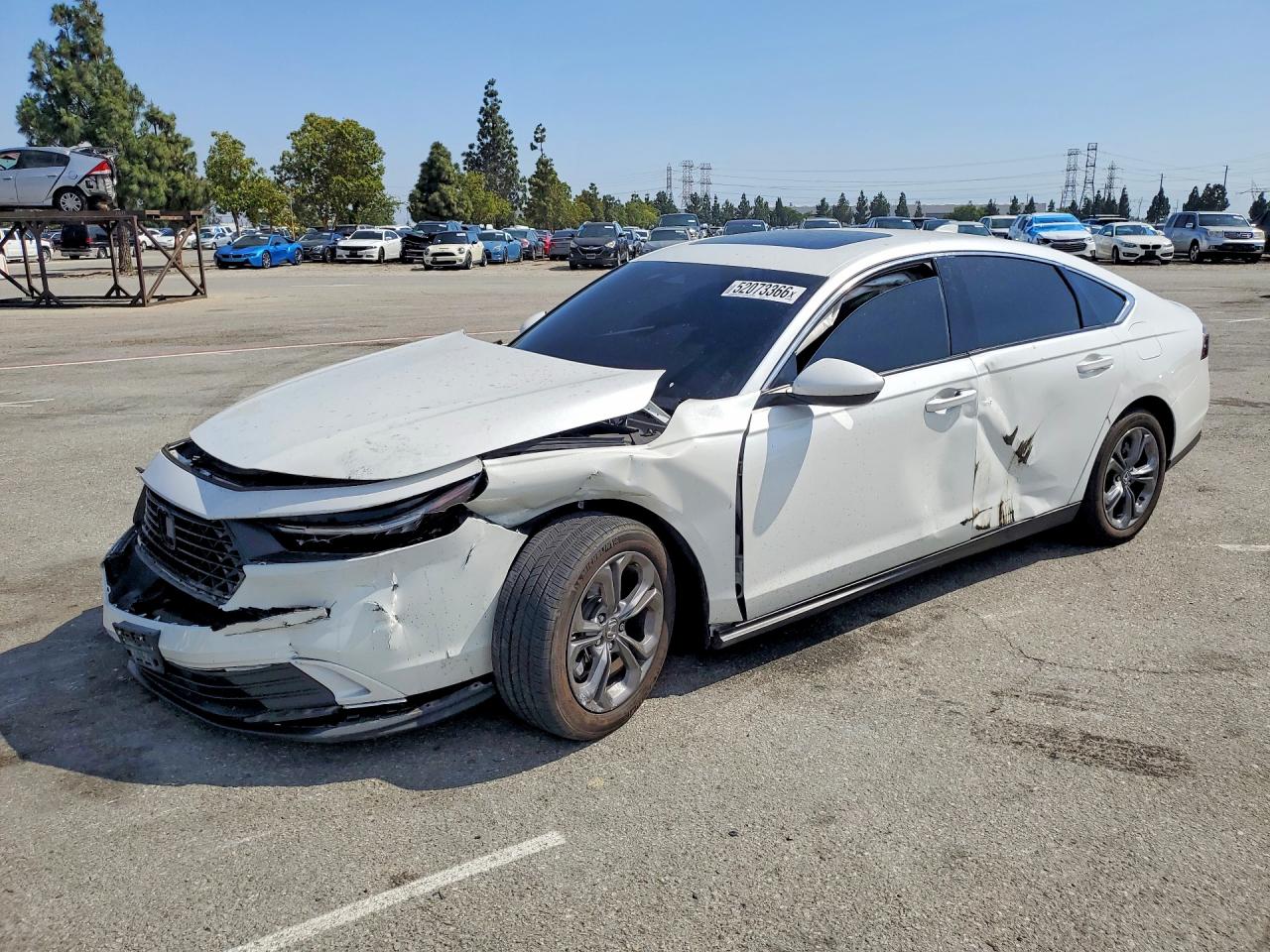 Salvage Honda Accord Image