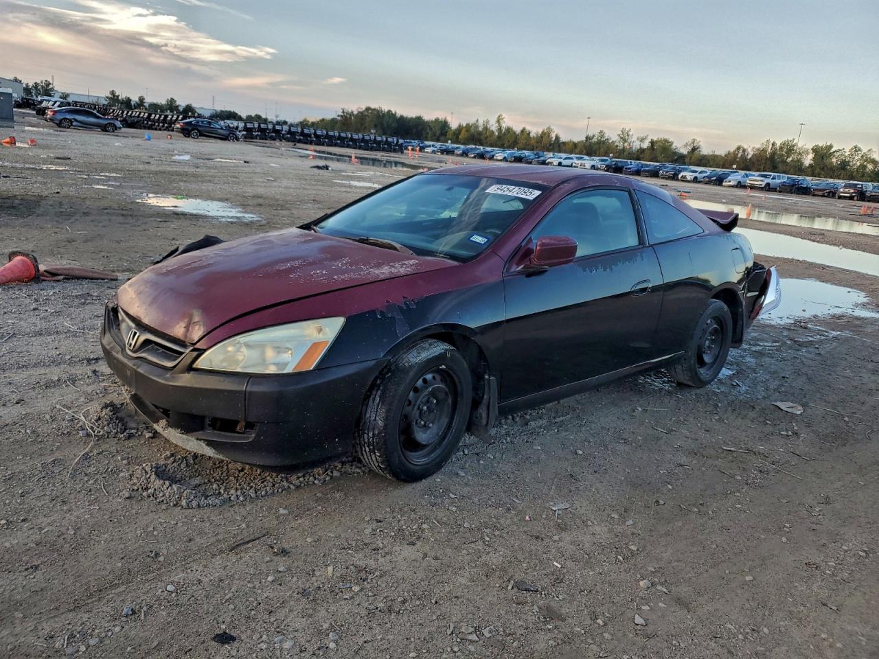 Salvage Honda Accord Image
